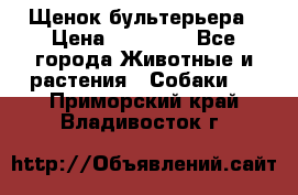 Щенок бультерьера › Цена ­ 35 000 - Все города Животные и растения » Собаки   . Приморский край,Владивосток г.